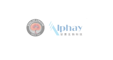 行业动态